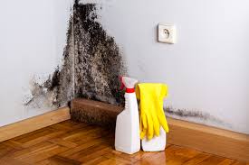 Mold Removal for HVAC Installations in Cathedral City, CA